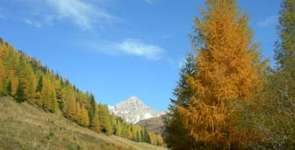 Pics1 169